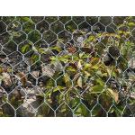60*80mm Pvc Coated Gabion Wire Mesh 6×2×0.3m For Flood Control for sale