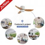 Low Ceiling Room Small LED Ceiling Fan With Plastic Blades And Remote Control