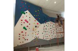 China 15cm Indoor Climbing Wall With Various Shapes And Optional Lighting supplier