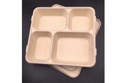 China Eco Friendly Biodegradable Tableware for Hot and Cold Foods supplier