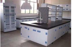 China Hot Sale Chemical Lab Workbench With PP Material For Good Price supplier
