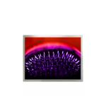 LQ150X1LW94 15.0 inch 1024*768 LCD Display Module for sale