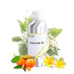 Romance Perfume Fragrance Oil Woody Scent original oil perfume for sale