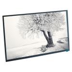10.1 Inch LVDS 45 Pins BOE LCD Screen Display Panel For Medical Industry for sale