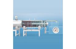 China 1.5T/H Spiral Precooking Stianless Steel Blaching Fruit Processing Equipment Full Automatic supplier