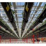 Anti-Drip Fogging Hydroponic Seedling Structure Perfect for Customer Requirements