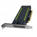 Datacenter Edge Inference GPU Graphics Card Tesla NVIDIA T4 GPUS 16GB GDDR6