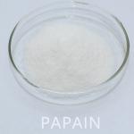 Enzyme Papain 50TU/MG-1000TU/MG Providing Enzyme Preparation Sample Minimum Order 1kg for sale