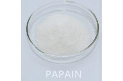 China Optimal Temperature 50-55 C Papain Protease 300USP-6000USP Customized Enzyme Activity Specifications supplier