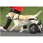 Pet wheelchair for sale
