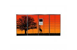 China Massive Capacity Parcel Delivery Lockers Electronic Steel With High Durability supplier