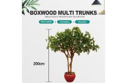 China Wholesale Boxwood Tree Artificial Boxwood Tree for Decoration supplier