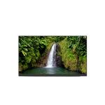 NE160QDM-N64 16.0 inch 2560*1600 TFT LCD Displays for sale