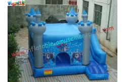 China Frozen Inflatable Bounce Houses , Inflatable Frozen Mini Bouncer Slide supplier