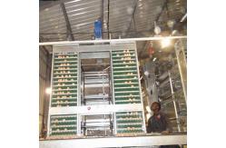 China 2pc/Layer HDG Poultry Egg Collection System Automatic 4m/Min Speed supplier