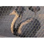 X Tend Aviary Wire Netting 304 Woven Knotted Cable Mesh Protection Cages for sale