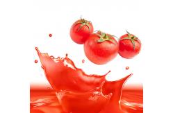 China Full Automatic Fruit Vegetable Processing Machinery 415V Industrial Equipment supplier
