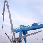 30m Knuckle Boom 1t Wide Shipyard Crane Working Radius for sale