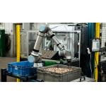 China New Universal Robot UR12E Collaborative Robot Arm 6 Axis 12.5KG Payload Cobot factory