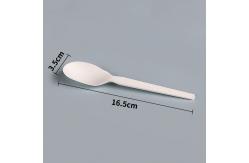 China Compostable Disposable PLA Bioplastic Spoons Bulk Utensils 5.7 Inch supplier