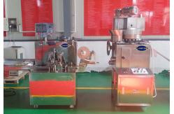 China ZP15B ZP17B Chicken Cube Block 42mm Punch Rotary Tablet Press Machine supplier