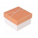 ISO9001 Wrist Watch Packaging Box Eco Friendly Paper Watch Box
