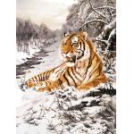 Home Decoration 3D Lenticular Pictures / Animal Print Lenticular for sale
