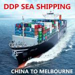 Sea Freight Forwarder Cargo Ship From China To Australia for sale