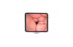 China Flexible Endoscope Camera System Reusable Endoscope Camera With Screen For Surgery supplier