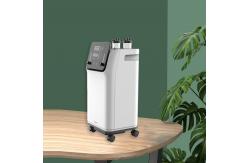 China Dual Flow 10L Oxygen Concentrator For All Kinds Of People supplier