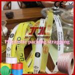 Industrial Custom Plastic PP Strapping Polypropylene Packaging Manual And Automatic With 5-19mm Width Longer Length for sale