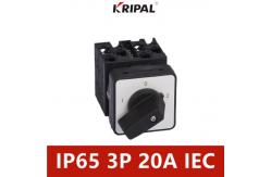 China IEC Standard 3 Position Cam Switch IP65 Three Phase 20A 230-440V supplier