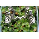 3D Printing Metal Skeleton Partial Denture Metal Framework for sale