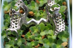 China 3D Printing Metal Skeleton Partial Denture Metal Framework supplier