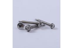 China Stainless Steel Self Drilling TEK Screws Wafer Head Self Tapping Screw supplier