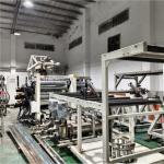 Customized Extrusion Head Twin Screw Extruder Machine with PLC Control Screw Length 33 1 for sale