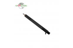 China Diesel Fuel Injector A6650170121 EJBR02601Z for Delphi Engine supplier