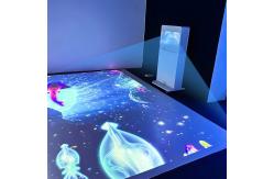 China All-in-one Floor Projection Machine Portable Interactive Projection Games supplier