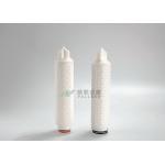 Pleated Food and Beverage Water Filter PES Nylon PVDF 0.2 Micron OD 69mm for sale