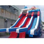 Commercial Outdoor Giant Inflatable Water Slide Dolphin Octopus Cartoon Inflatable Double Slide For Kids And Adults for sale
