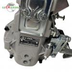 Fuel Injection Pump BHT6P120R 612601080915 for WD615 WD618 Engine
