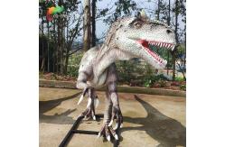 China Amusement Park Large Fibreglass Animals Life Size Allosaurus Animatronic Eco friendly supplier