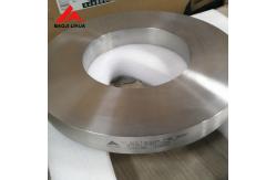 China Gr2 Titanium Ring ASTM B381 Channel Flange Titanium Forgings supplier
