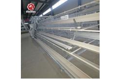 China Dipped Galvanized Chicken Layer Battery Cage Wire Mesh 4 layers supplier
