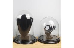 China D30 x H30cm Handmade Large Glass Display Box Dome Cloche With Wood Base supplier