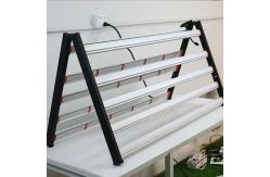 China OEM ODM 1000 Watt Horticulture LED Grow Light With UV IR supplier