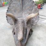 ISO water repellent Dinosaur Skeleton Replica Fossil Life Size Triceratops Skull