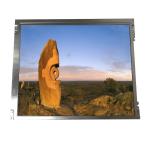 82PPI 12.1 LCD Monitor LQ121S1DG21A RGB 800*600 SVGA LCD Panel Display for sale