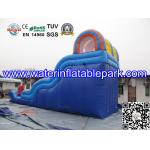 Inflatable Water Slide For Amusement Park  / Inflatable Pool Slide