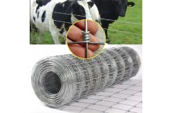 China Galvanized Hinged Joint Cattle Fence Netting 2.0MM High Tensile Wire Cattle Fence supplier